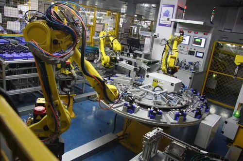 紅綠相映，扮靚浙西南——老區新征程上的技術開發奮進篇章